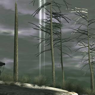 Echo Storm wallpaper