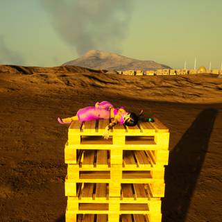 Butchers Don't Surf! wallpaper