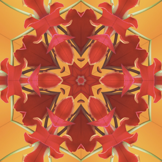 iOS 17 UHD wallpaper