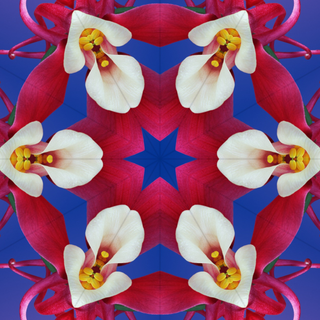 iOS 17 UHD wallpaper