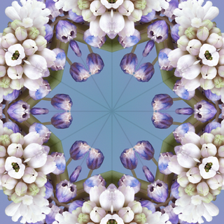 iOS 17 UHD wallpaper