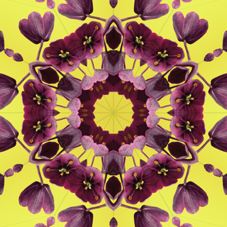 iOS 17 UHD wallpaper