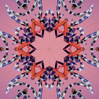 iOS 17 UHD wallpaper