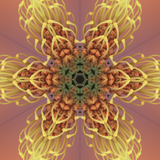 iOS 17 UHD wallpaper