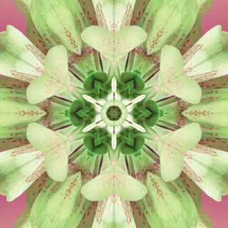 iOS 17 UHD wallpaper