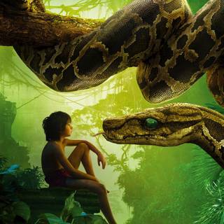 Mowgli phone wallpaper