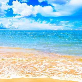 Ocean beach summer wallpaper