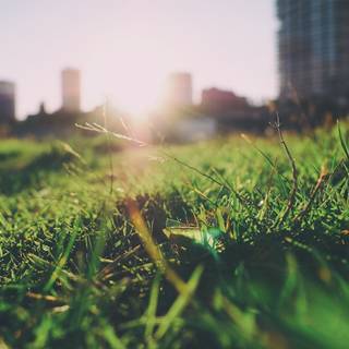 Summer blurs wallpaper