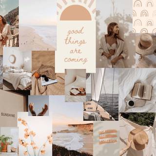 Autumn neutral desktop wallpaper