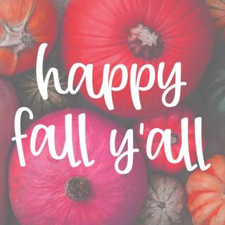 Autumn neutral desktop wallpaper