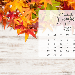 Autumn 2023 wallpaper