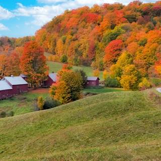 Autumn 2023 wallpaper