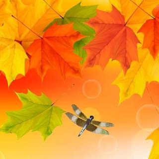 Autumn 2023 wallpaper