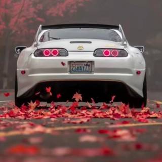 Supra 4k iPhone wallpaper