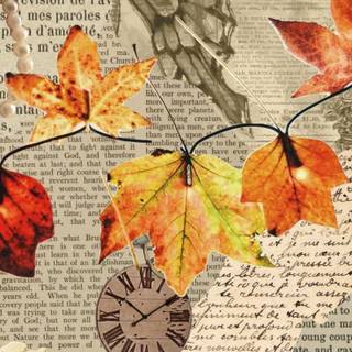 Autumn 2023 wallpaper