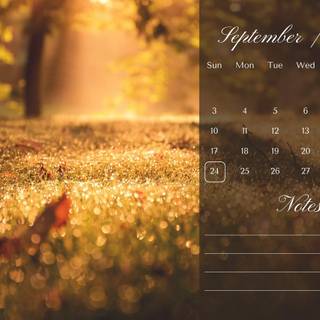 Autumn 2023 wallpaper