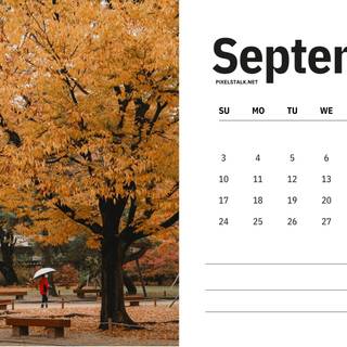 Autumn 2023 wallpaper