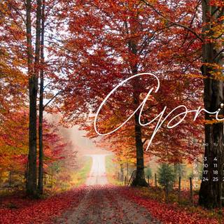 Autumn 2023 wallpaper