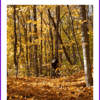 Autumn 2023 wallpaper