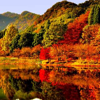 Autumn 2023 wallpaper