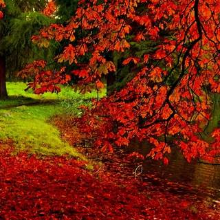 Autumn 2023 wallpaper