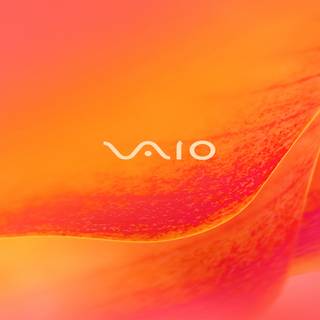 Sony logo 4k wallpaper