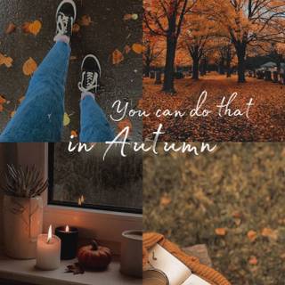Autumn 2023 wallpaper