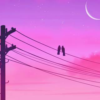 Pink moon 4k wallpaper