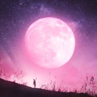 Pink moon 4k wallpaper