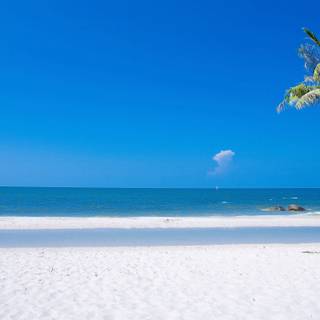 Ocean beach summer wallpaper