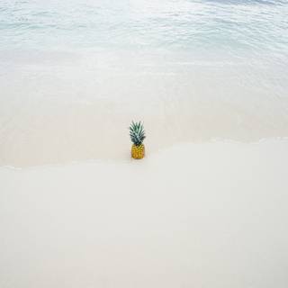 Ocean beach summer wallpaper