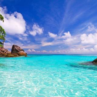 Ocean beach summer wallpaper