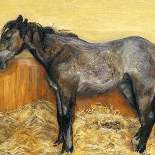 Lucian Freud wallpaper