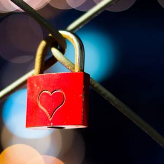 Red love 4k wallpaper