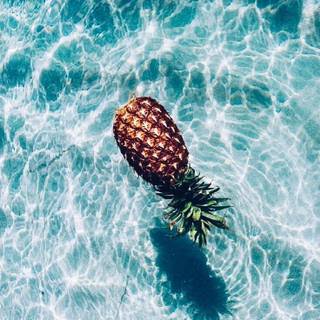 Summer vibes water wallpaper