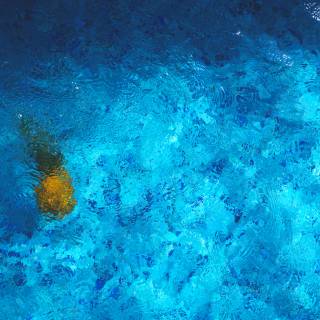 Summer vibes water wallpaper