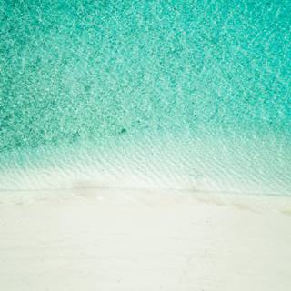 Summer vibes water wallpaper