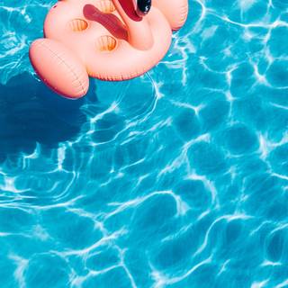 Summer vibes water wallpaper