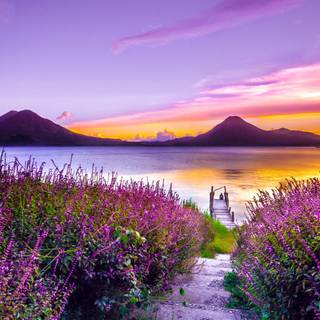 Purple landscape 4k wallpaper