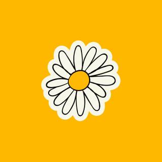 Bright 4k mobile wallpaper