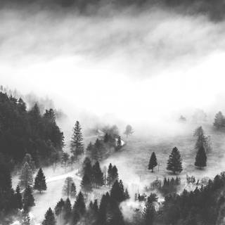 Black and white aesthetic PC wallpaper