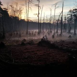 Creepy autumn desktop wallpaper