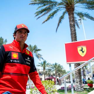 Carlos Sainz 4k wallpaper