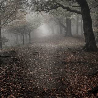 Creepy autumn desktop wallpaper