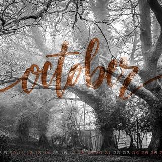 Creepy autumn desktop wallpaper