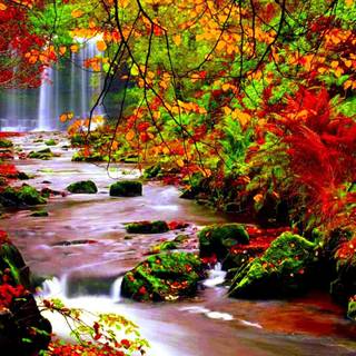 Autumn tree falling leaves wallpaper
