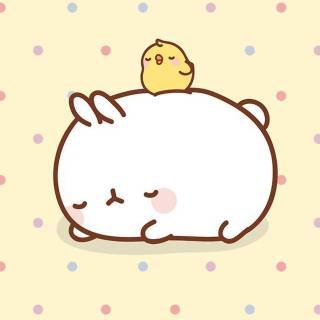 Molang summer Chromebook wallpaper