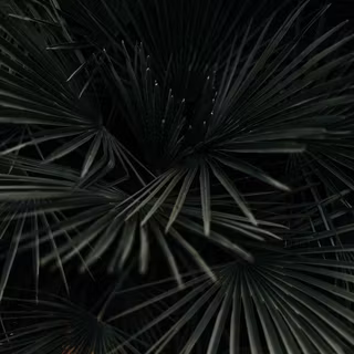 Samsung 4k phone wallpaper