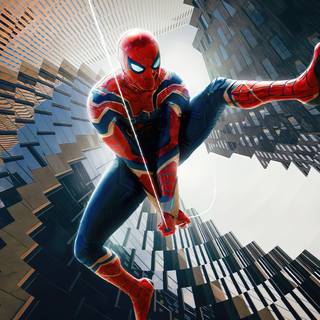 Spider 4k PC wallpaper