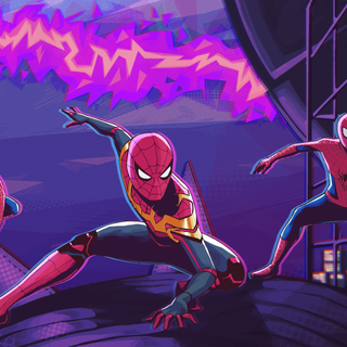 Spider 4k PC wallpaper